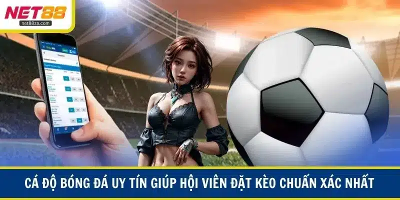 Cá Độ Bóng Đá Uy Tín