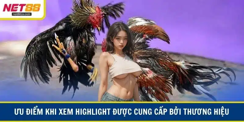 Ưu điểm khi xem highlight được cung cấp bởi thương hiệu